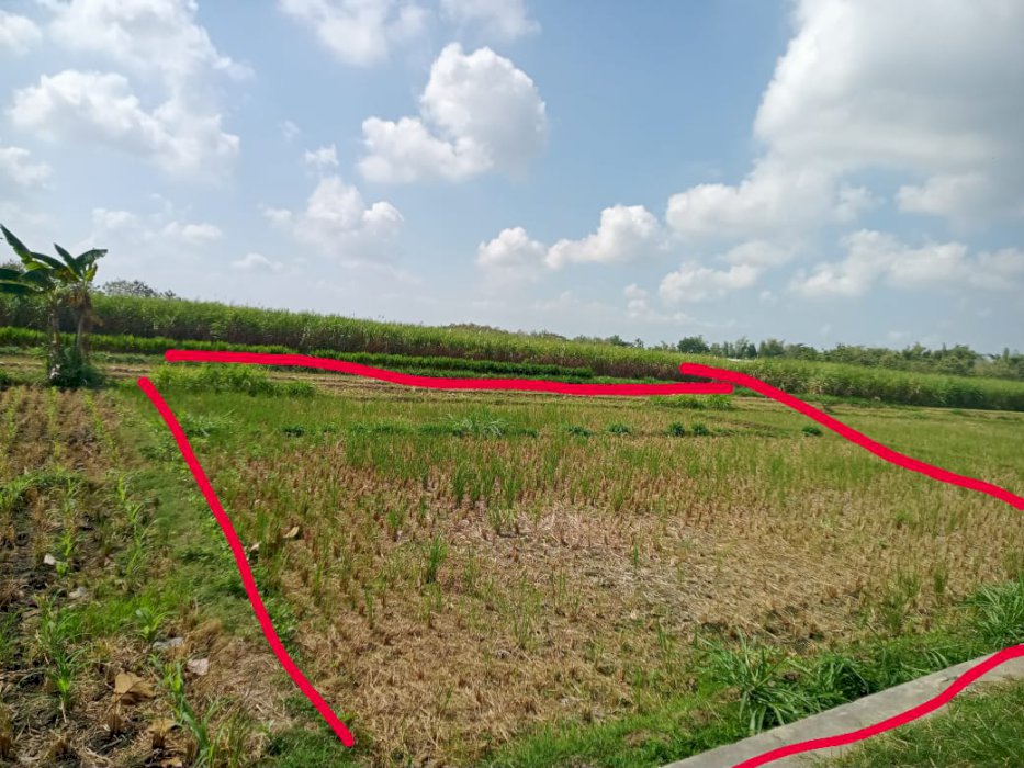 Dijual Tanah sawah kavling