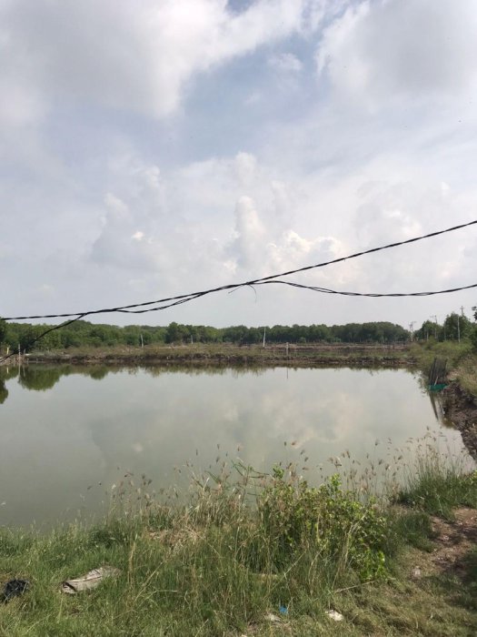 Dijual tanah cocok untuk investasi lokasi strategis demak jawa tengah