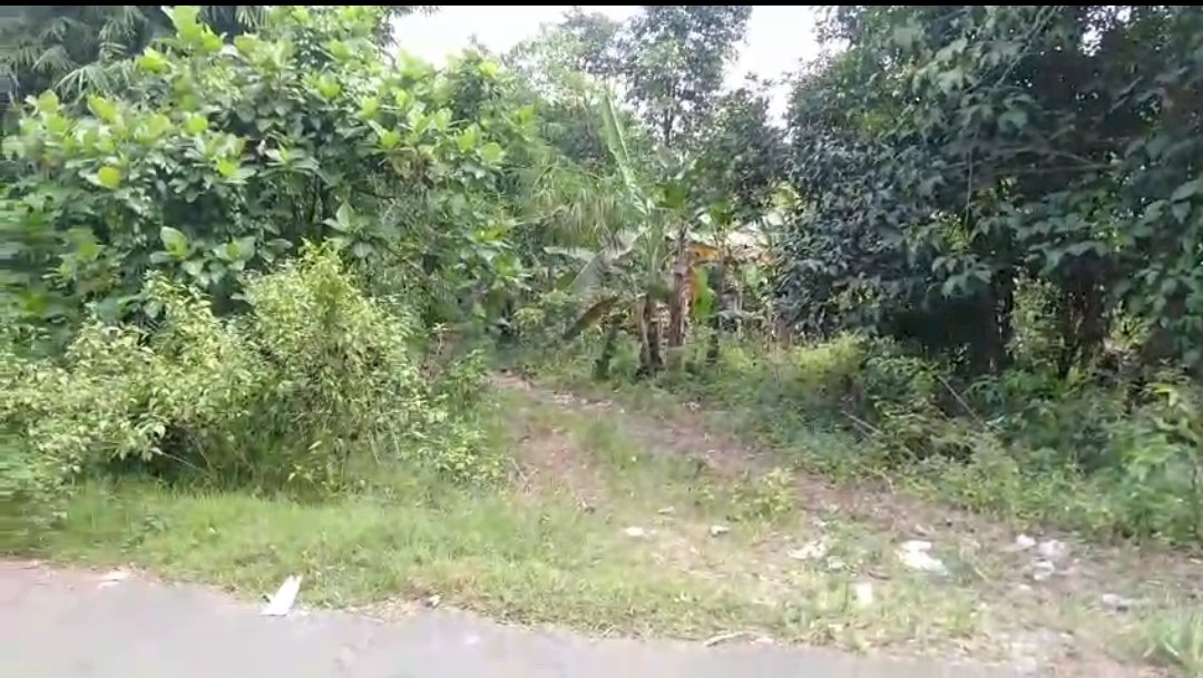Di jual tanah murah lokasi strategis di Singgasari Jonggol  Bogor