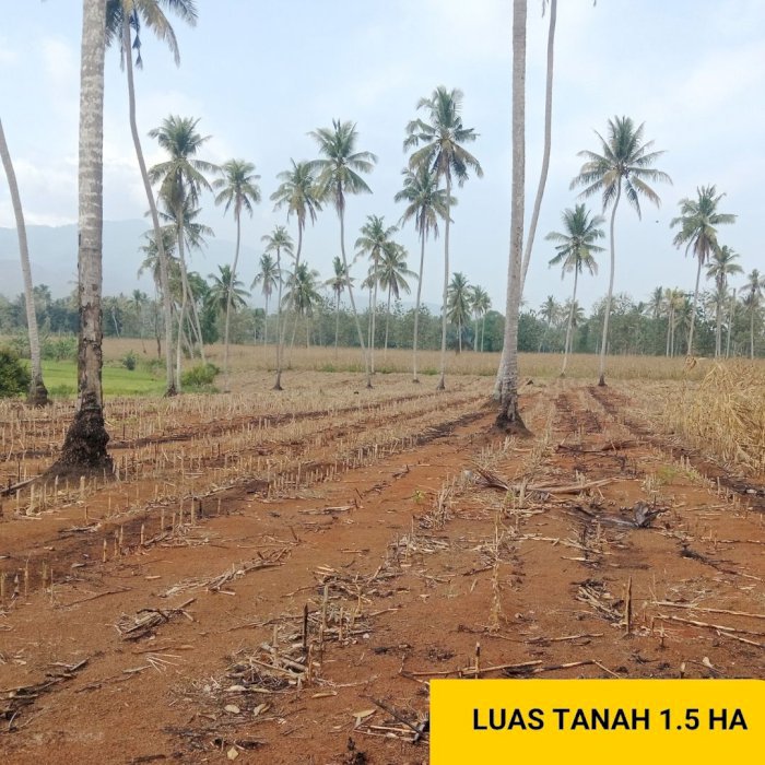 Dijual Tanah 1,5 Hektar Murah