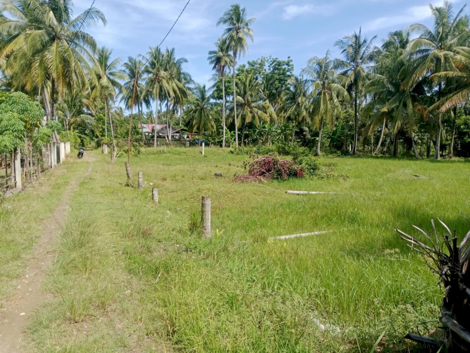Jual Tanah 1000m, kawasan perkampungan, 2 km dari pusat kota