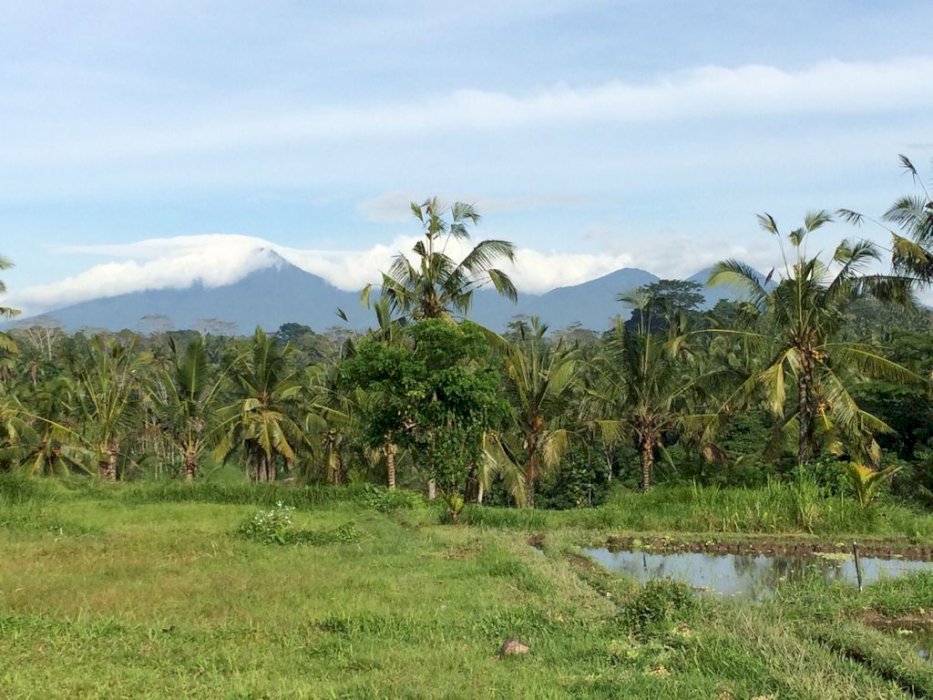 Ubud menjadi destinasi para wisatawan by CV Uangland Persada