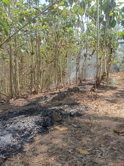 Dijual,Jual Tanah borongan, Cilacap Jawa Tengah