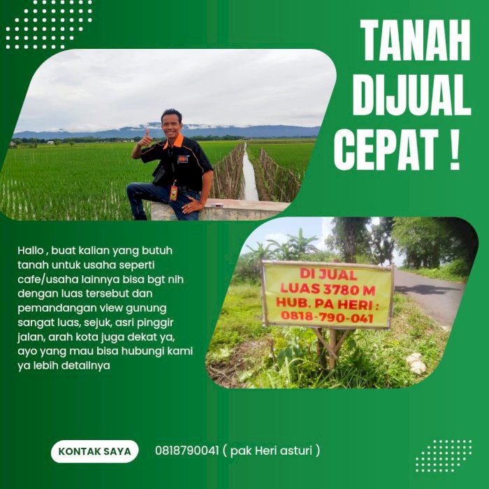 DI JUAL TANAH SAWAH PURBALINGGA MURAH