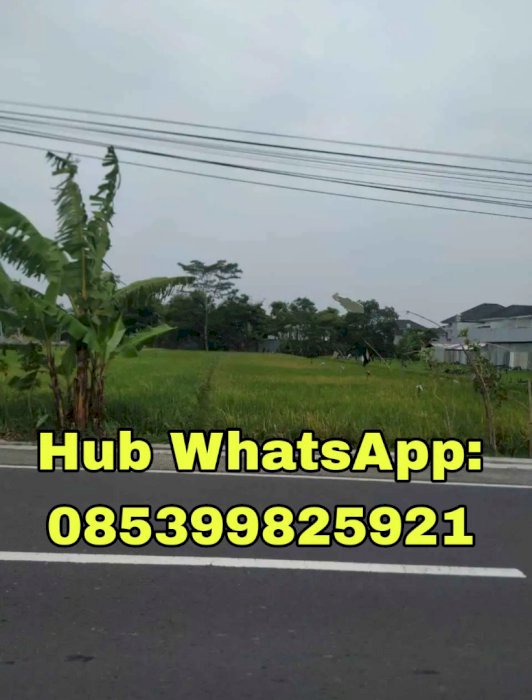 Jual Tanah Pribadi Tanpa Prantara Status SHM Lokasi Sangat Strategis