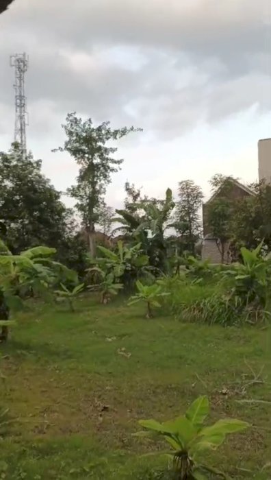 Di jual tanah murah lokasi strategis di desa Kepatihan Tulungagung