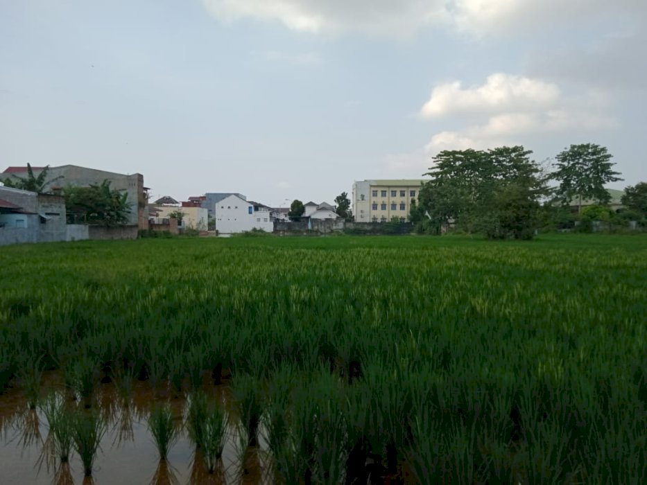 Dijual tanah murah!! 1,2 juta per meter, dkt Kampus USU
