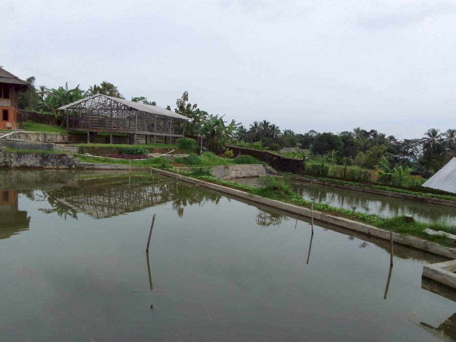 DI JUAL VILLA DAN USAHA KOLAM IKAN DI PULOSARI PANDEGLANG BANTEN