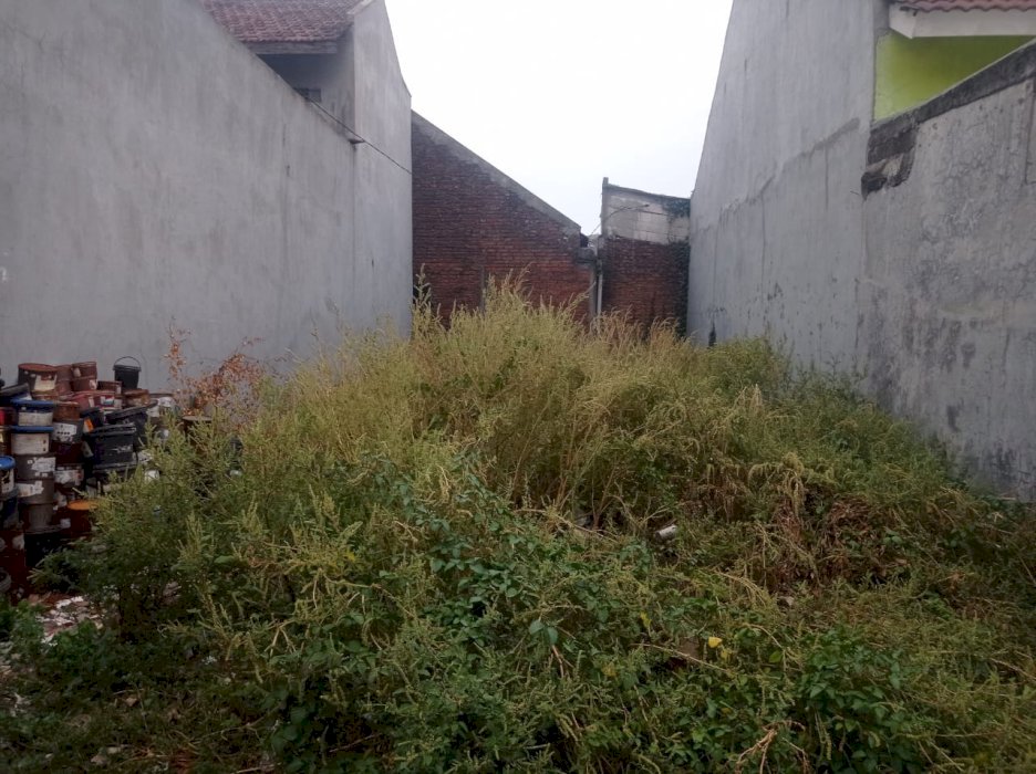 Tanah Pekarangan Daerah wage taman sidoarjo