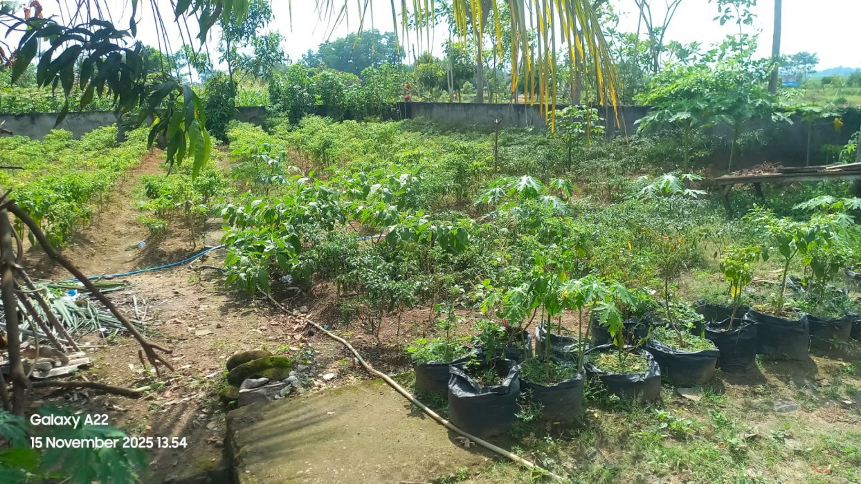 Jual Tanah Kota Metro Lampung, Kavling. Nego