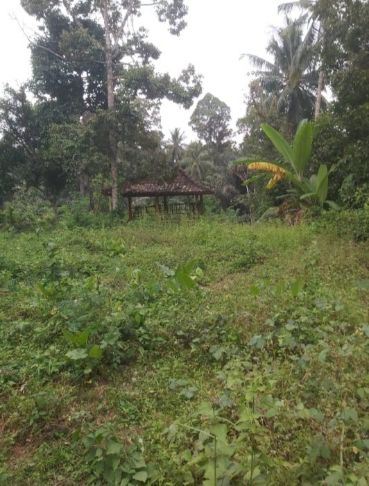 DIJUAL TANAH – KARANG BAYAN, NARMADA (LOMBOK BARAT)