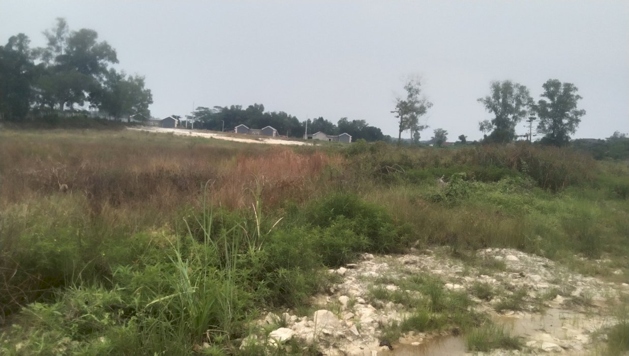 Tanah pinggir jalan 2 jalur