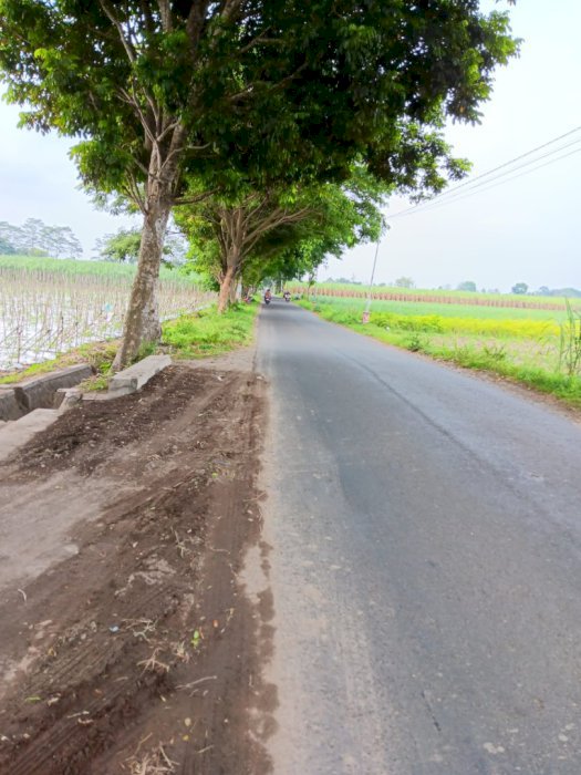 Di Jual Murah Tanah Strategis Di Kandat Kediri