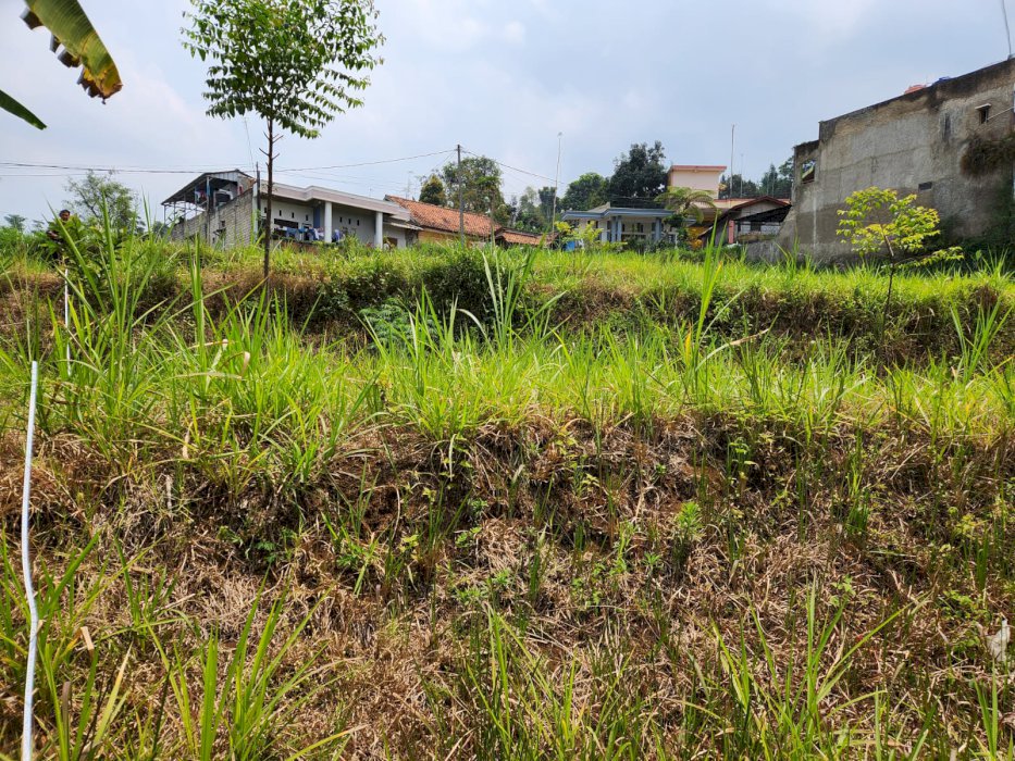 Jual tanah SHM nego, cocok untuk Villa, homestay atau kebun