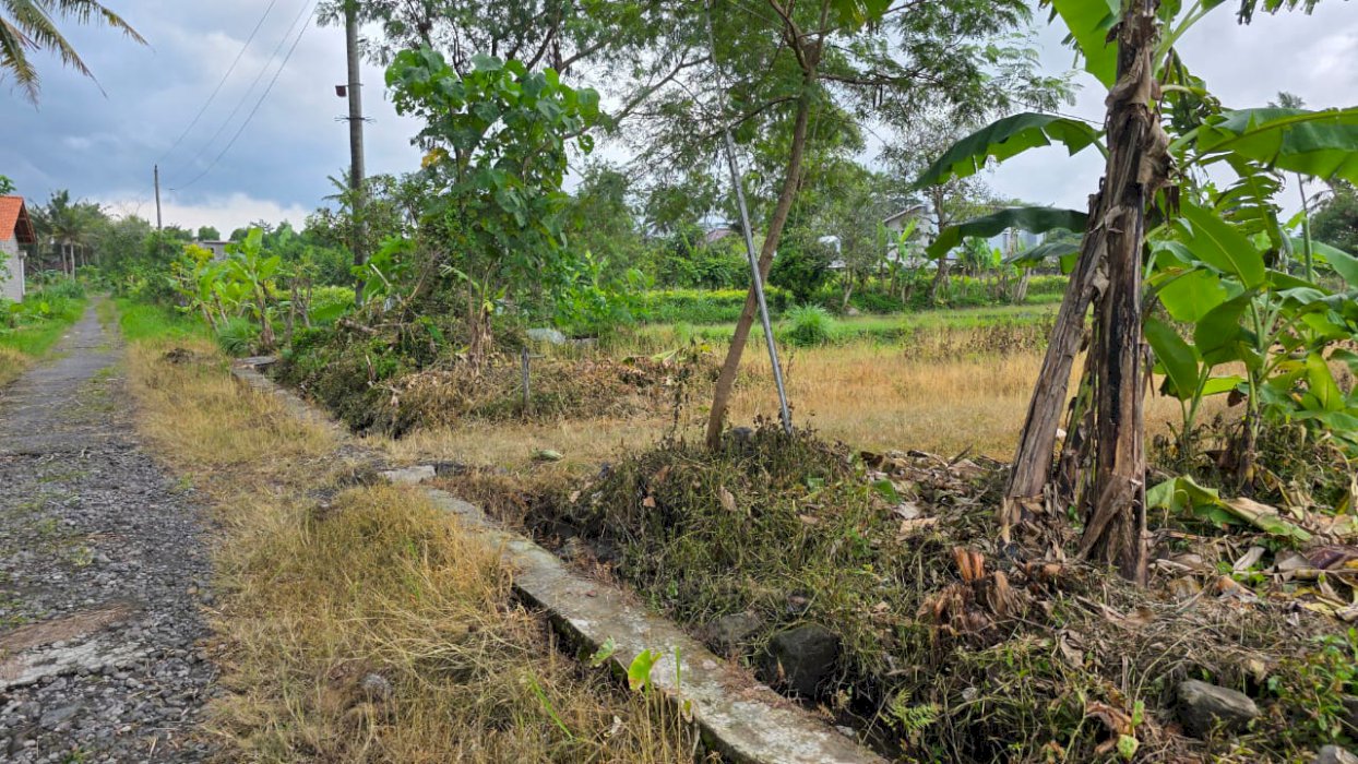 Tanah Dijual Murah di Jalan Kaliurang KM 15 Sleman Yogyakarta