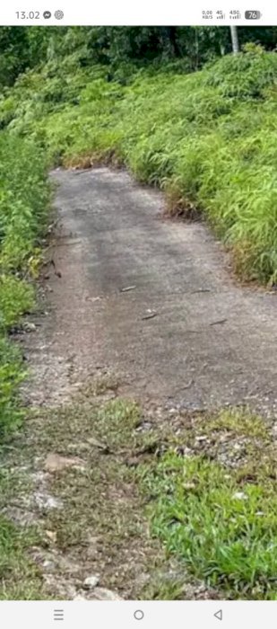 Asalamualaikum, mau jual kebun kopi luas 1 hektaran hektaran