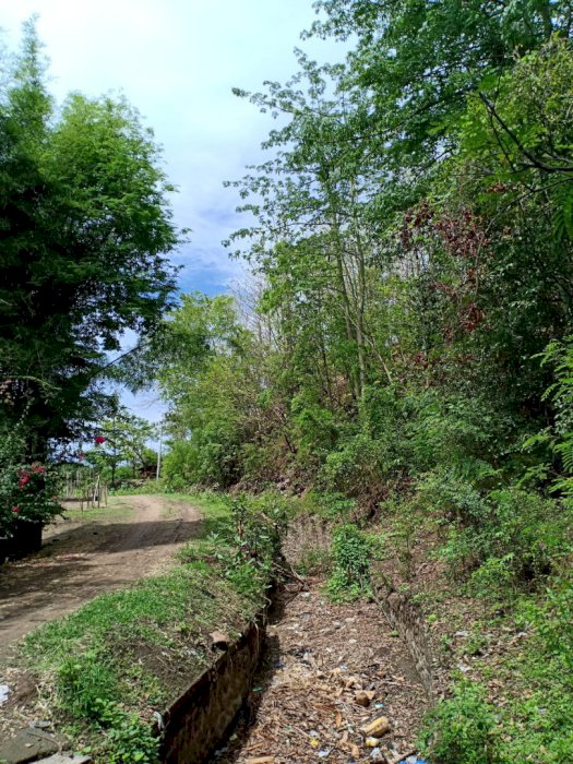 DIJUAL TANAH STRATEGIS DI DESA TUKADSUMAGA, GEROKGAK,BALI