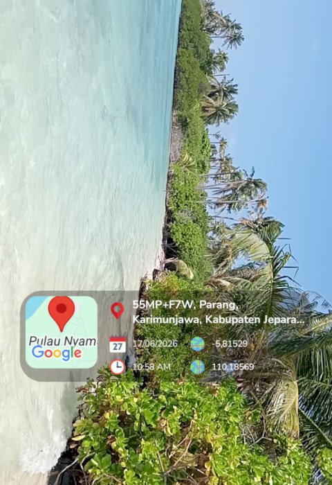 Dijual Tanah Tepi Pantai di pulau nyamuk karimunjawa