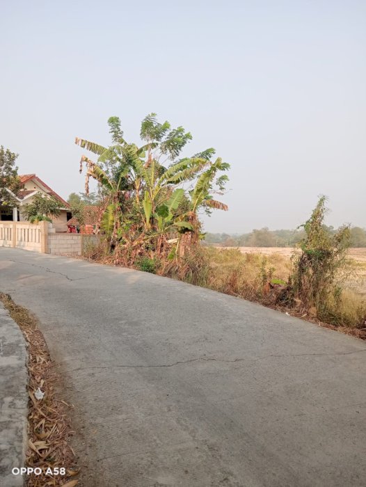 Di jual murah tanah strategis di Bojongmangu Bekasi