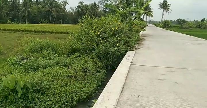 Tanah 505 meter pinggir jalan