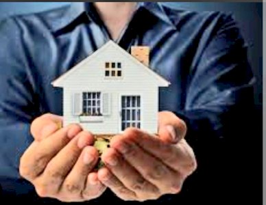 dedysukses999 member