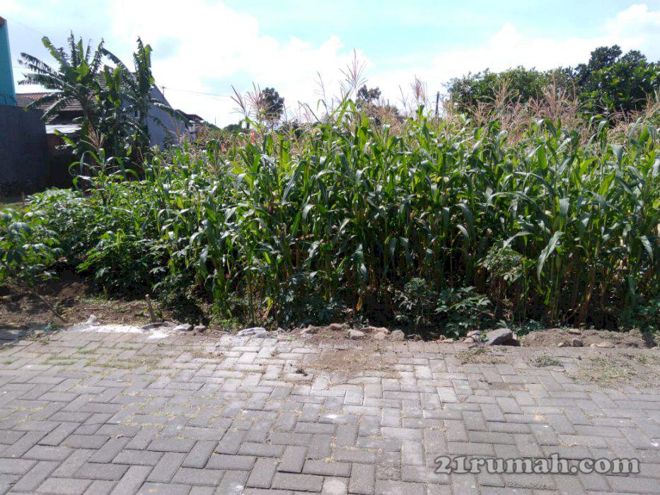 Tanah dijual wilayah Batu, Malang lokasi STRATEGIS dekat JATIM PARK 3