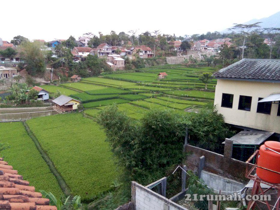 Rumah Vila eksklusif minimalis 