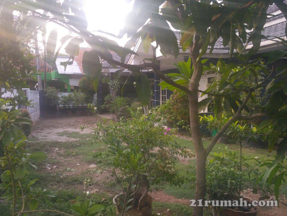 Rumah diatas tanah 429m SHM