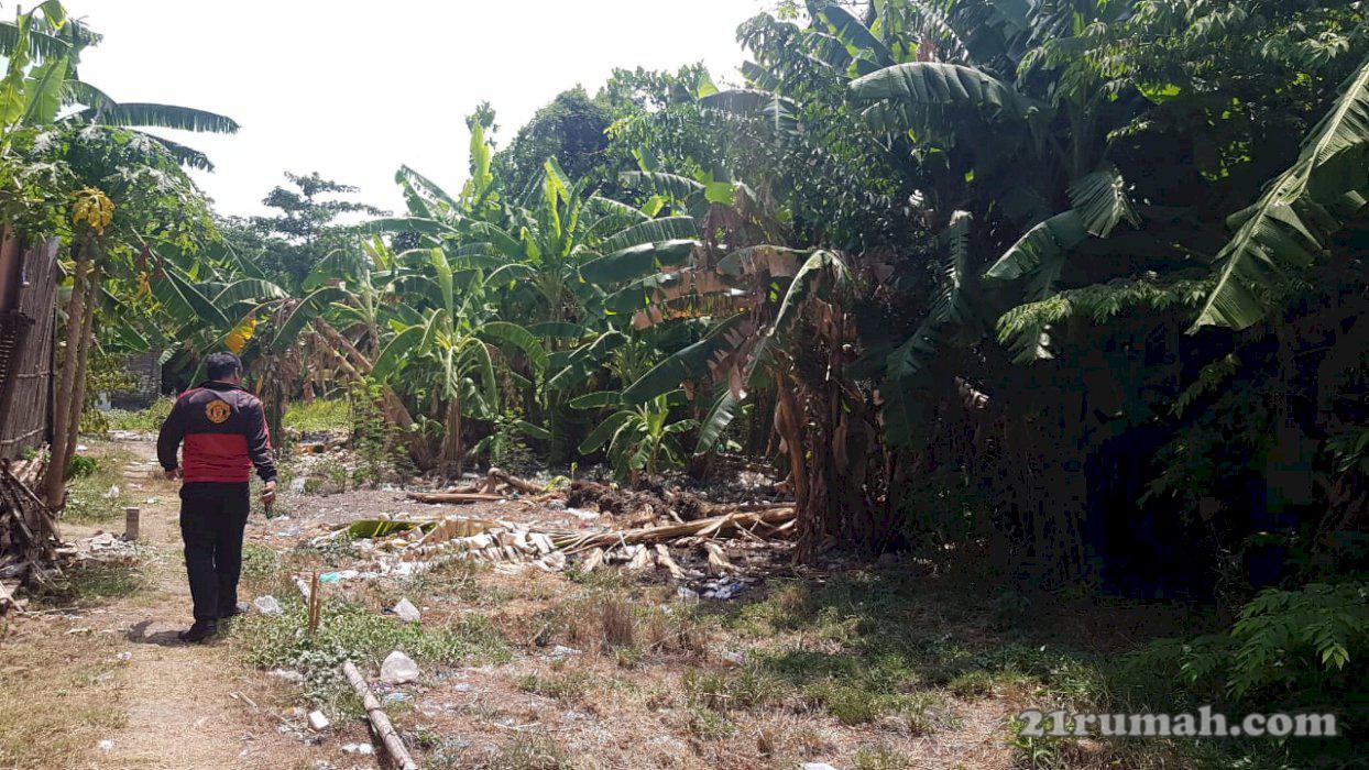 Rumah kebun dijual lokasi Kecamatan Krembung Kabupaten Sidoarjo