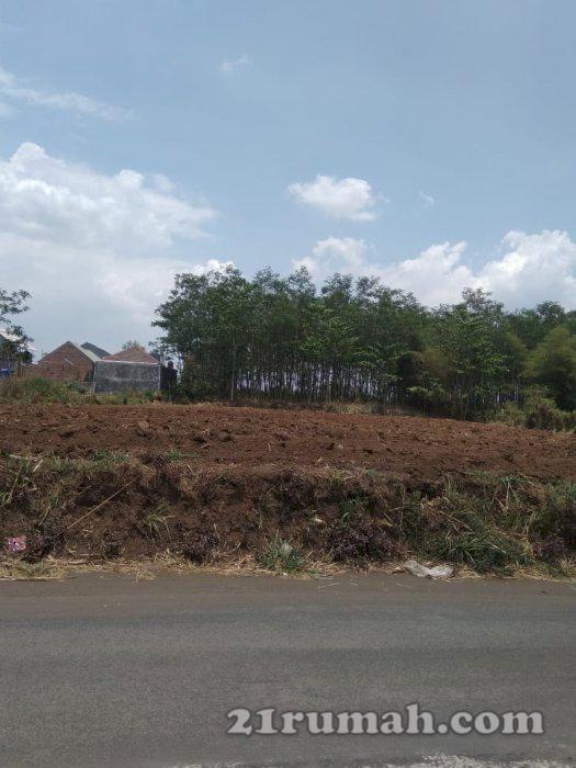 Tanah murah dan strategis di poros jalan singosari malang