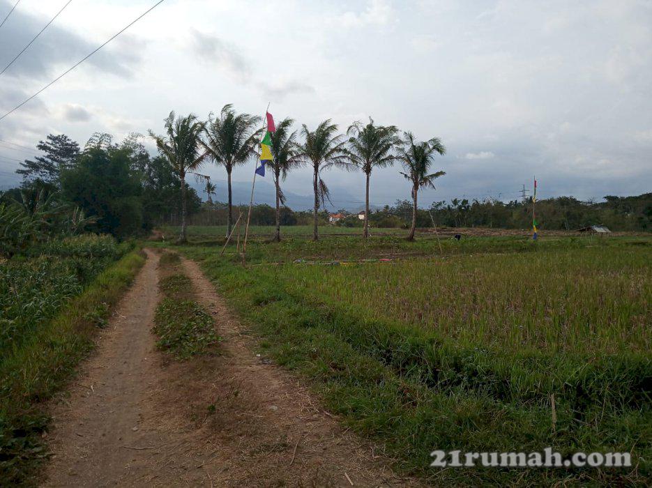 Tanah kavling murah siap bangun di wagir malang