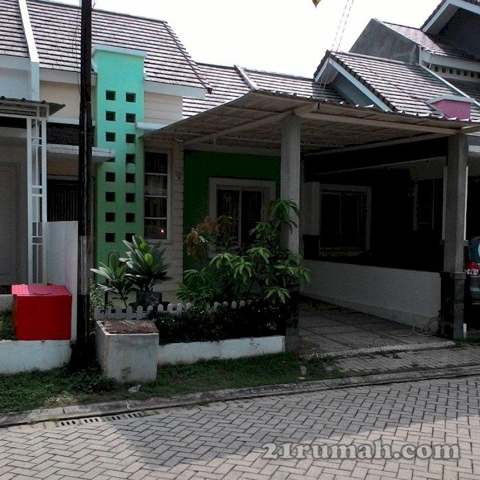 Cibubur county corn field a