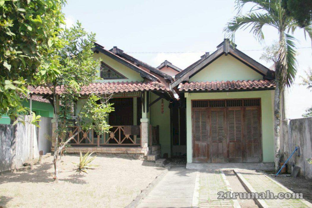 Rumah guest house  jogja halaman luas 