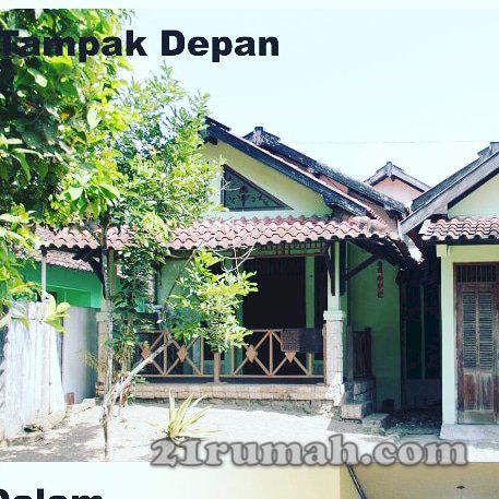 Rumah jogja guest house halaman luas 