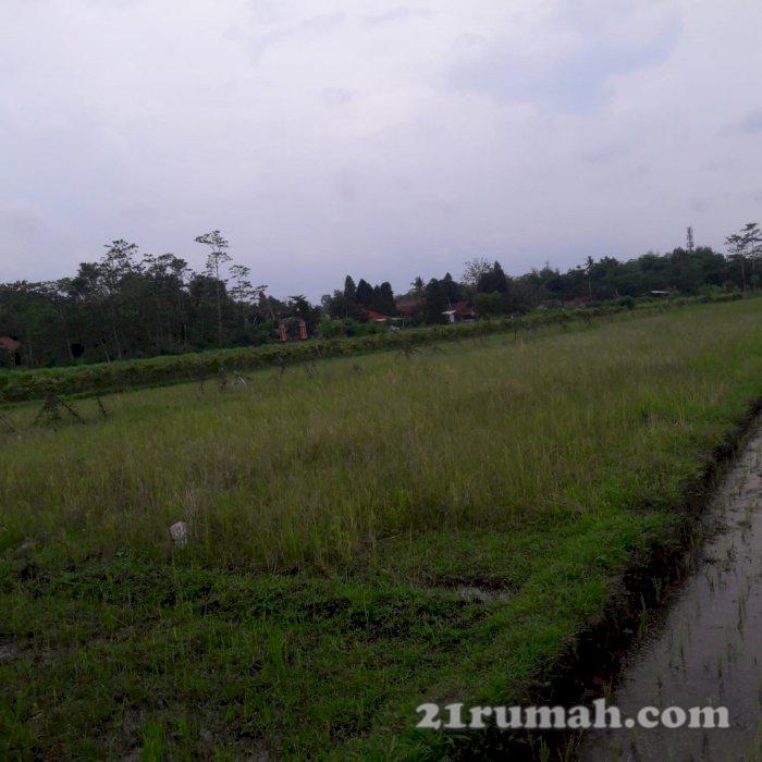 Tanah lokasi strategis dekat kampus