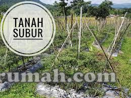 Jual Kavling 15 Menit Ke Pintu Tol Sadang