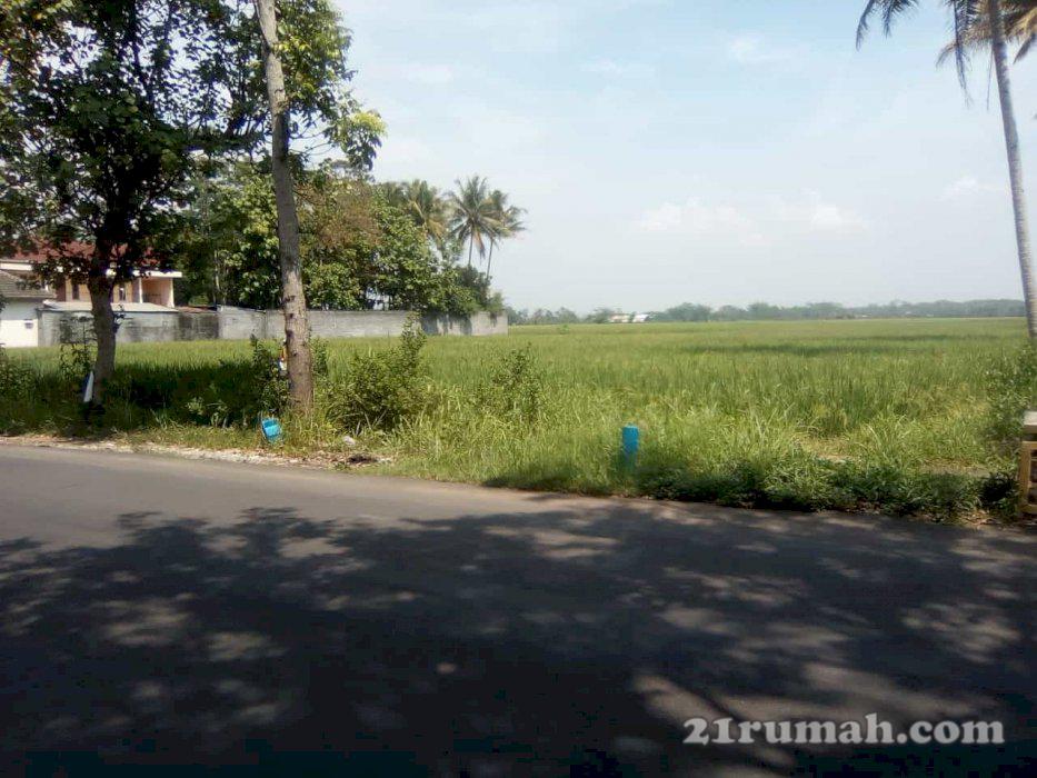 Tanah murah dan luas strategis di Kota Batu