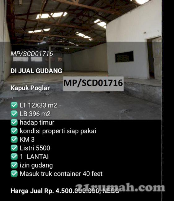 Gudang Kapuk Poglar bisa masuk Container 40 feet