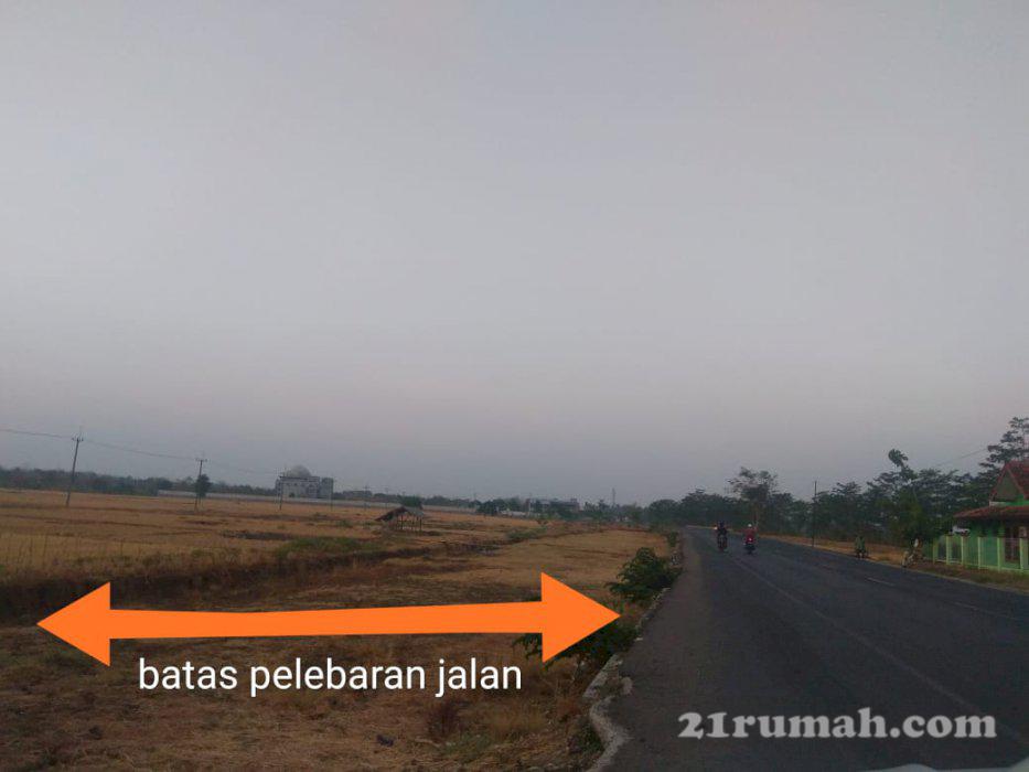 Dijual Tanah Datar Luas 2 Ha 