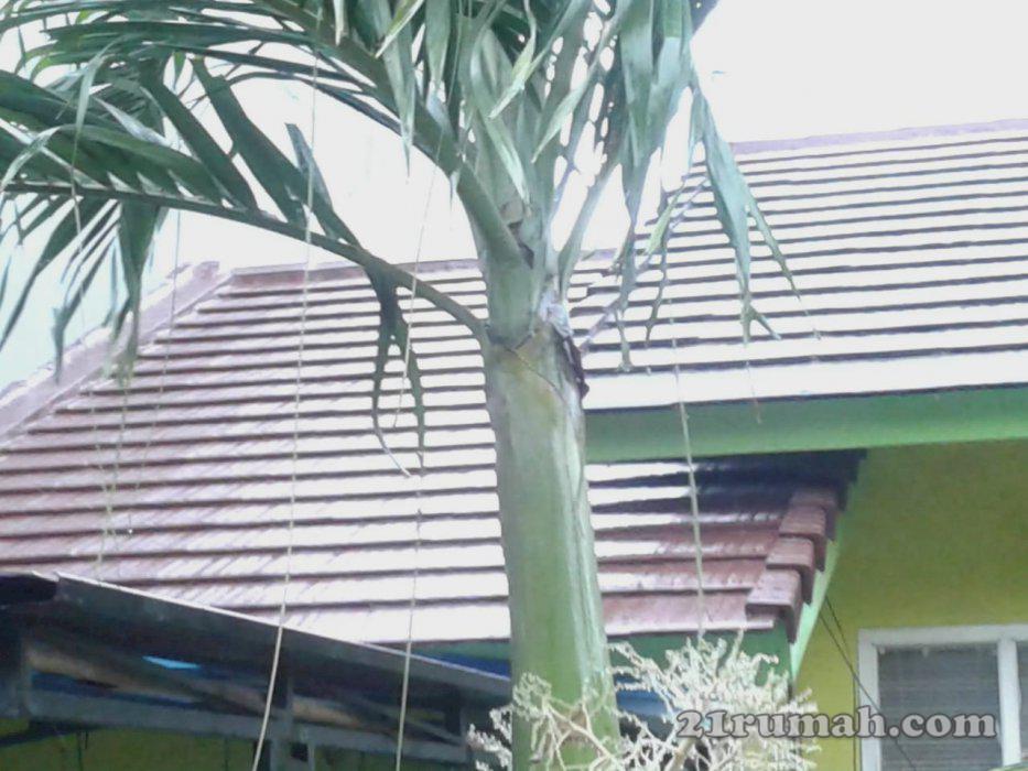 Rumah di jual cepat di kawasan asri  parung bogor