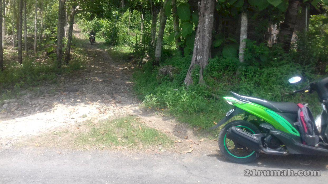 pekarangan dijogjakarta murah meriah luas 450m2 cumat 200juta