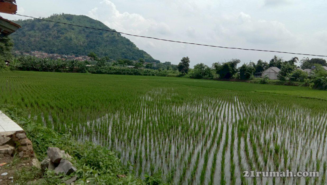Tanah produktif perbatasan cimahi kabupaten