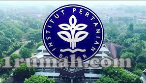 Beli Tanah Tanpa Denda Dekat Kampus IPB