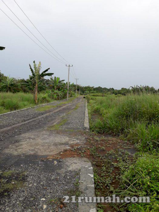 Tanah di Munjul Tigaraksa Siap Bangun