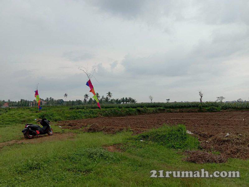 Tanah Kavling Di Sumberpasir Pakis Malang Dekat Exit Tol