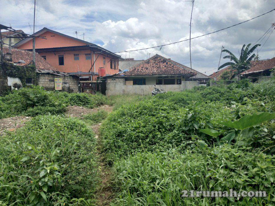 Tanah Luas Murah IPB Dramaga Bogor