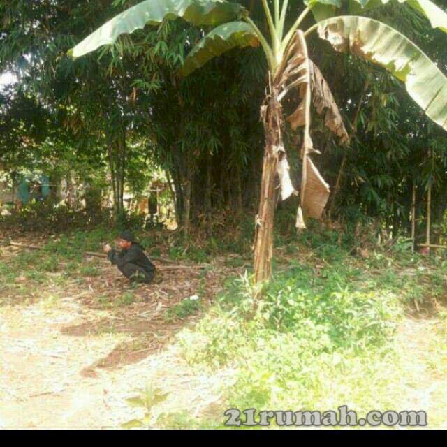 Tanah datar di Ciseeng Bogor