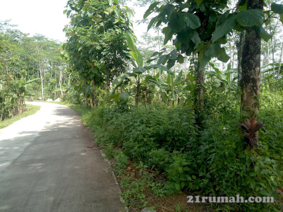 Di jual kebun murah pinggir jalan raya