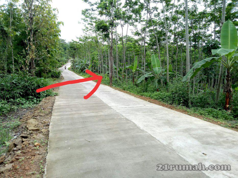 Di jual tanah pinggir jalan raya