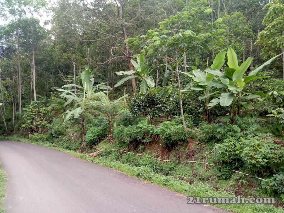 Tanah di jual pinggir jalan raya